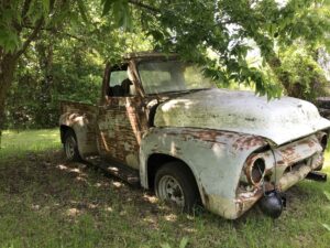 1955 Ford F100 for sale