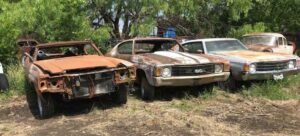 1970s Chevelles for sale