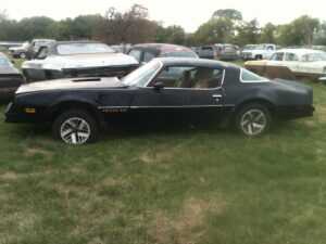 1979 Pontiac Firebird for sale
