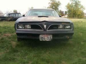 1979 Pontiac Firebird for sale